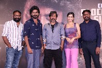 Peddha Kapu1 Movie Success Meet